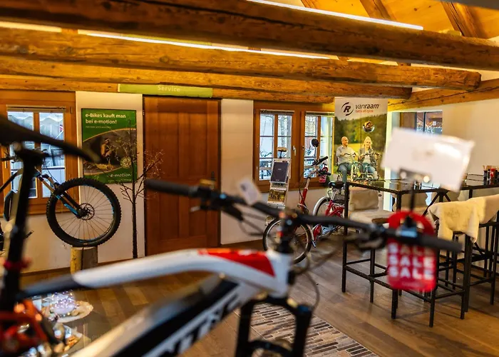 Sahlihuus Apartment Koniz